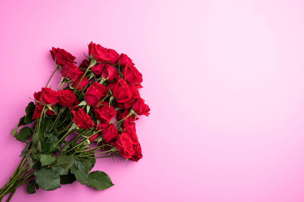 Bunch of red roses on pink surface